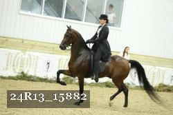 24R13_15882 thumbnail