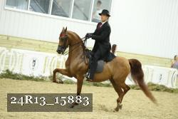 24R13_15883 thumbnail