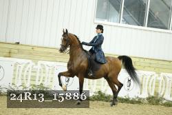 24R13_15886 thumbnail