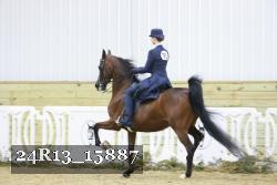 24R13_15887 thumbnail
