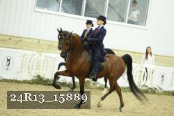 24R13_15889 thumbnail