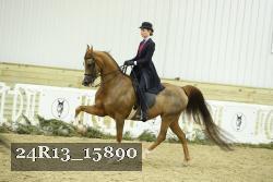 24R13_15890 thumbnail
