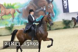 24R13_15892 thumbnail