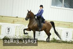24R13_15893 thumbnail