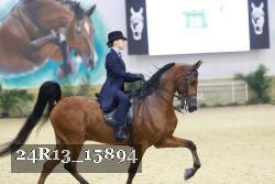 24R13_15894 thumbnail