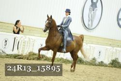 24R13_15895 thumbnail