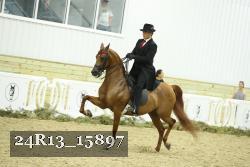 24R13_15897 thumbnail