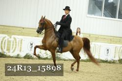 24R13_15898 thumbnail