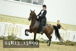 24R13_15899 thumbnail