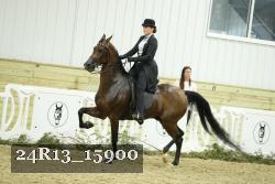 24R13_15900 thumbnail