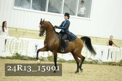 24R13_15901 thumbnail
