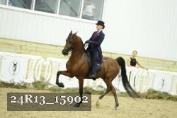 24R13_15902 thumbnail