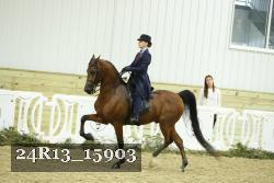 24R13_15903 thumbnail