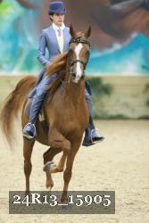 24R13_15905 thumbnail
