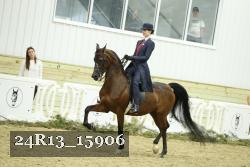 24R13_15906 thumbnail