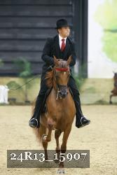 24R13_15907 thumbnail