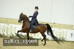 24R13_15908 thumbnail