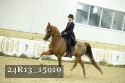 24R13_15910 thumbnail