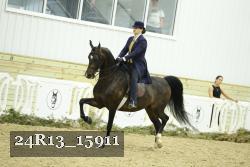 24R13_15911 thumbnail