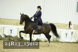 24R13_15912 thumbnail