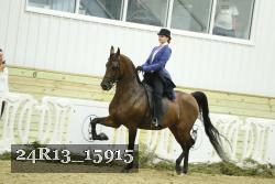 24R13_15915 thumbnail