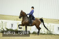 24R13_15916 thumbnail