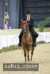 24R13_15920 thumbnail
