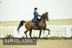 24R13_15927 thumbnail