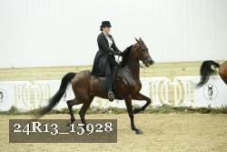 24R13_15928 thumbnail