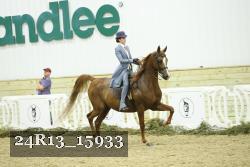 24R13_15933 thumbnail