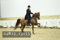 24R13_15935 thumbnail