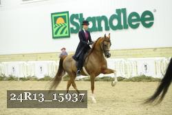 24R13_15937 thumbnail