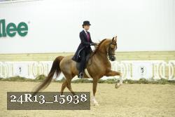 24R13_15938 thumbnail
