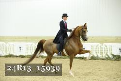 24R13_15939 thumbnail