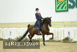24R13_15940 thumbnail