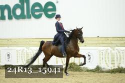24R13_15941 thumbnail