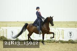 24R13_15942 thumbnail