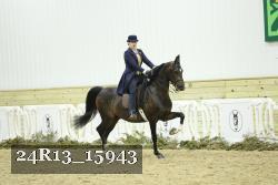 24R13_15943 thumbnail