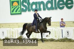 24R13_15944 thumbnail