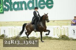 24R13_15947 thumbnail