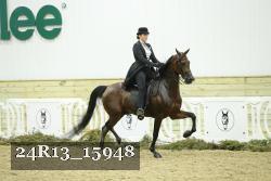 24R13_15948 thumbnail
