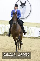 24R13_15952 thumbnail