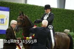 24R13_15958 thumbnail