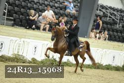 24R13_15968 thumbnail