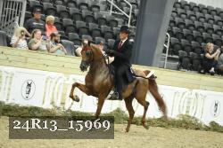 24R13_15969 thumbnail