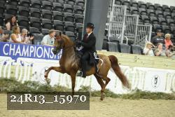 24R13_15970 thumbnail
