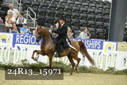 24R13_15971 thumbnail