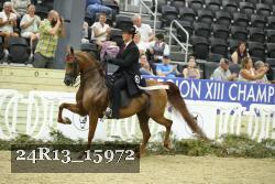24R13_15972 thumbnail