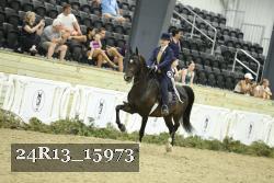 24R13_15973 thumbnail