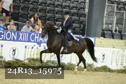 24R13_15975 thumbnail